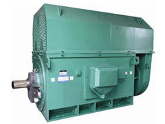 YJTFKK450-6AY系列6KV高压电机