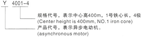 西安泰富西玛Y系列(H355-1000)高压YJTFKK450-6A三相异步电机型号说明