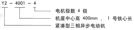 YR系列(H355-1000)高压YJTFKK450-6A三相异步电机西安西玛电机型号说明